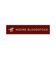 Moore Bloodstock
